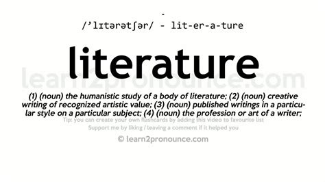 literature definition by experts
